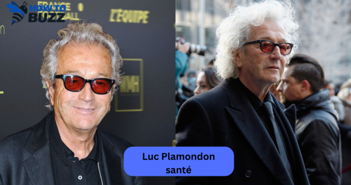 luc plamondon santé
