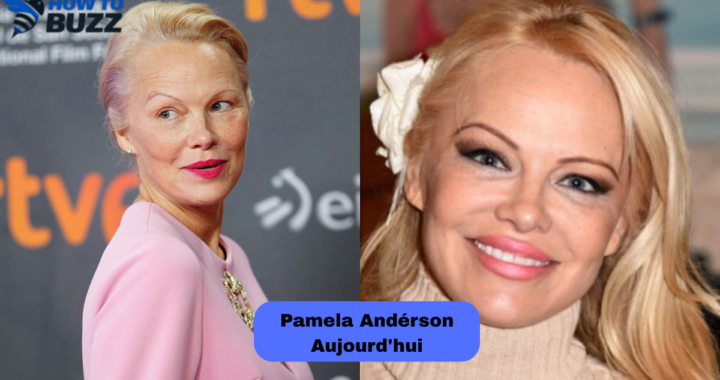 Pamela Andérson Aujourd’hui : Une Icône Toujours Présente Dans Le Monde Du Divertissement