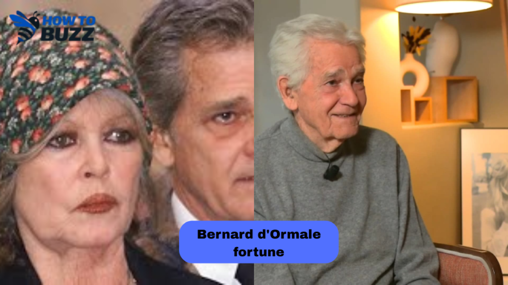 bernard d'ormale fortune