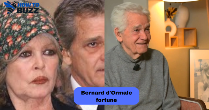 bernard d'ormale fortune